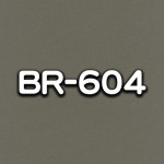 BR-604