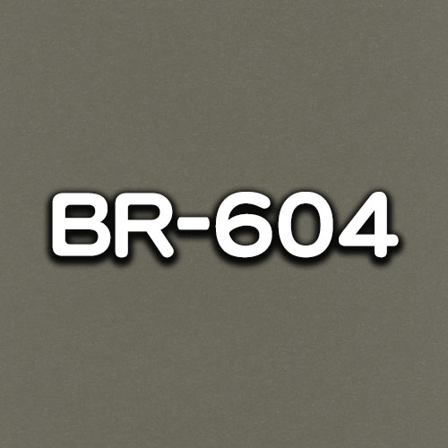 BR-604