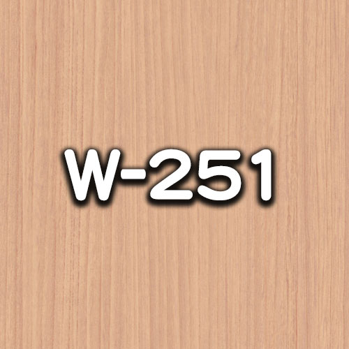 W-251