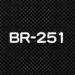 BR-251