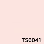 TS6041