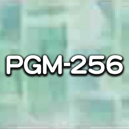 PGM-256