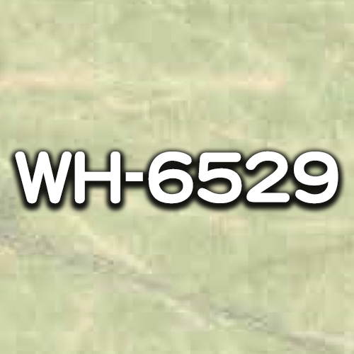 WH-6529