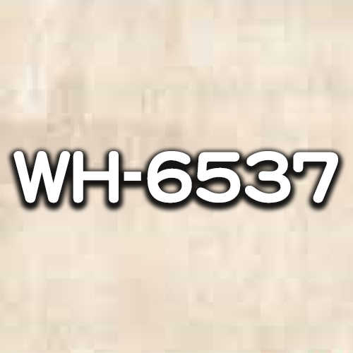 WH-6537