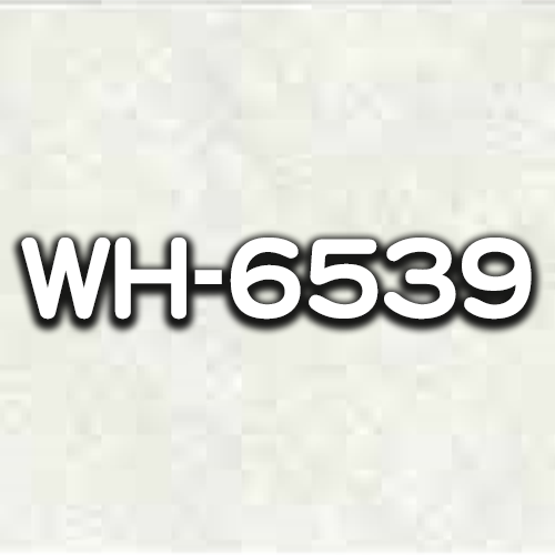 WH-6539