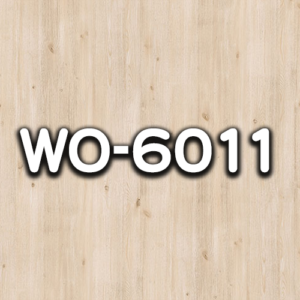 WO-6011