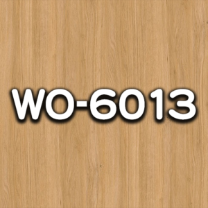 WO-6013