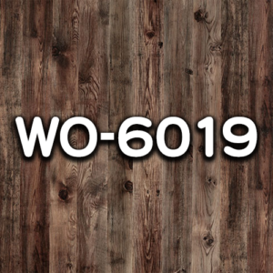WO-6019