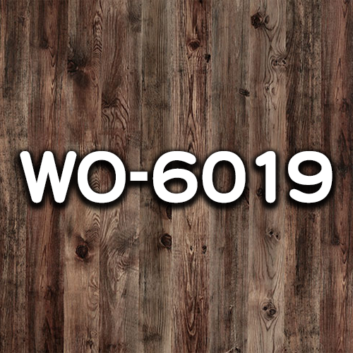 WO-6019
