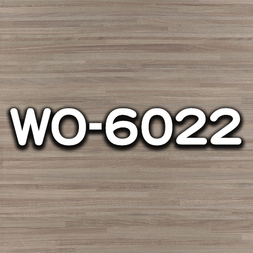 WO-6022
