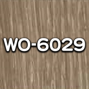 WO-6029