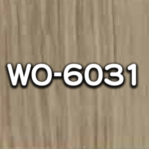 WO-6031