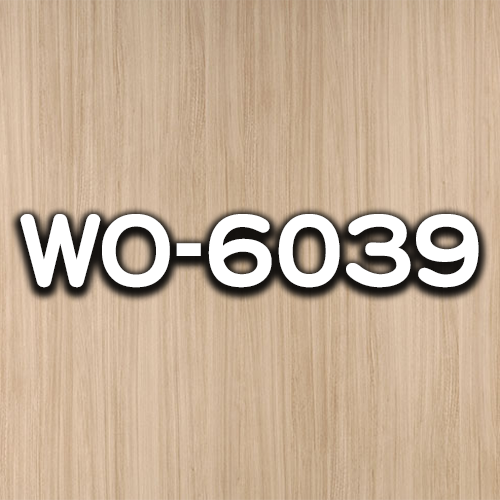 WO-6039