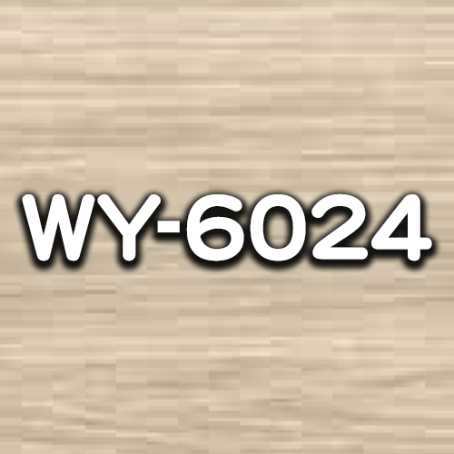 WY-6024