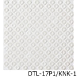 DTL-17P1_KNK-1