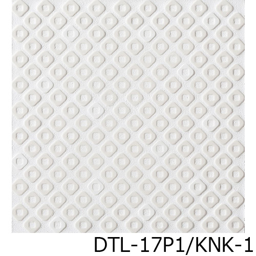 DTL-17P1_KNK-1