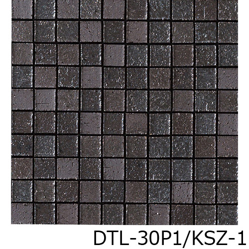 DTL-30P1_KSZ-1