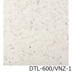 DTL-600_VNZ-1