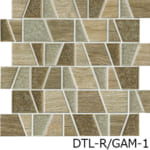 DTL-R_GAM-1