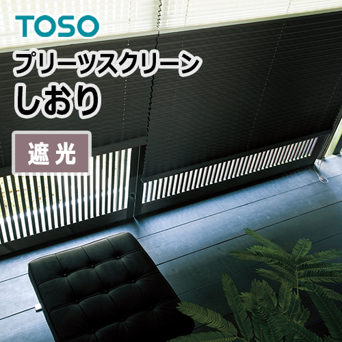 toso_pleated_screen_black_out