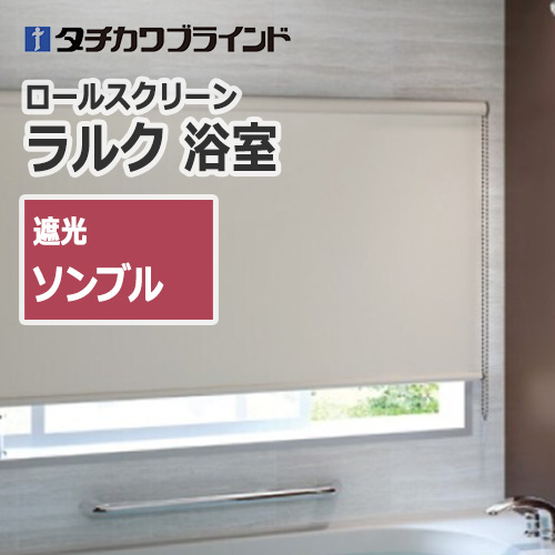 tachikawa-larcshield-shading-sombre-bathroom