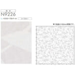 nichibei-sophy-cover-N9226
