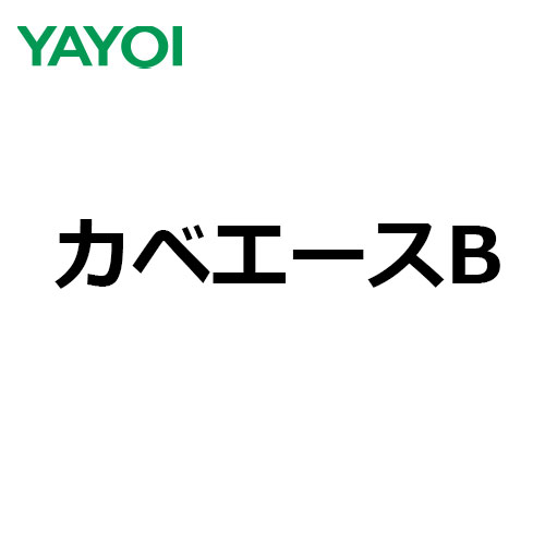 yayoi-kabeace-b96