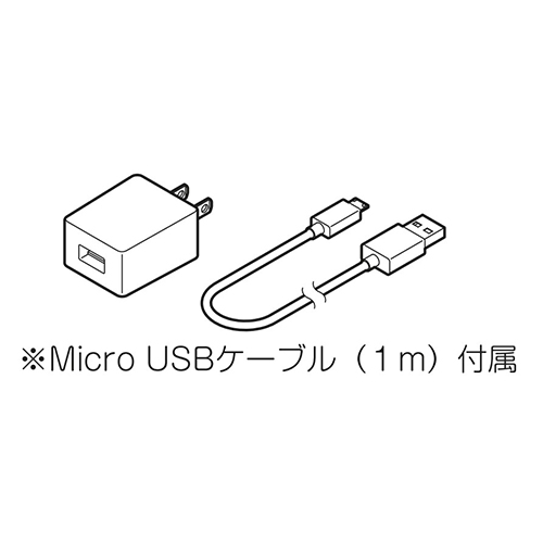 USB AC アダプター